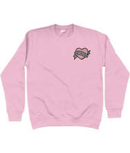 Load image into Gallery viewer, Pink don't be a dick sweatshirt